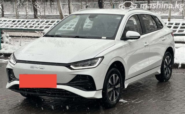 BYD E2