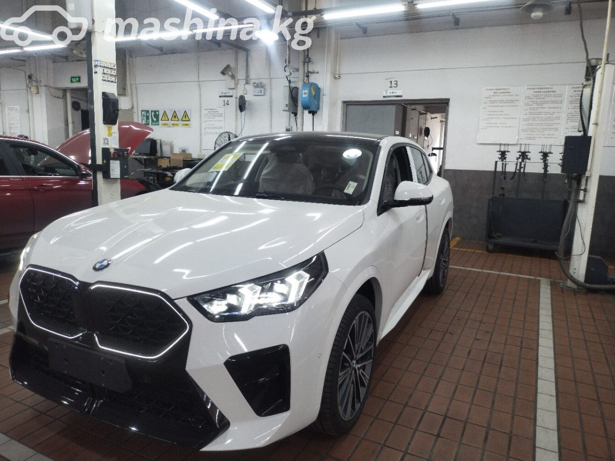 BMW X2 II (U10)