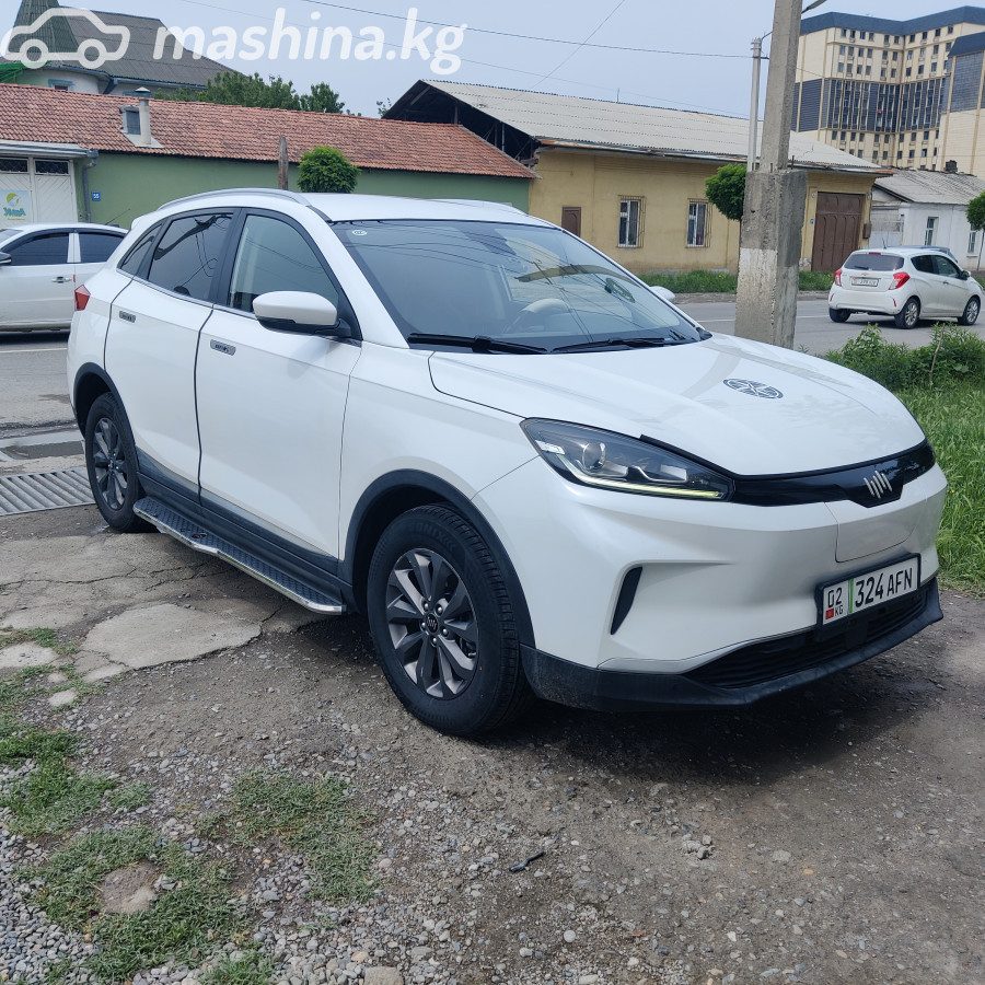 Weltmeister EX5 I