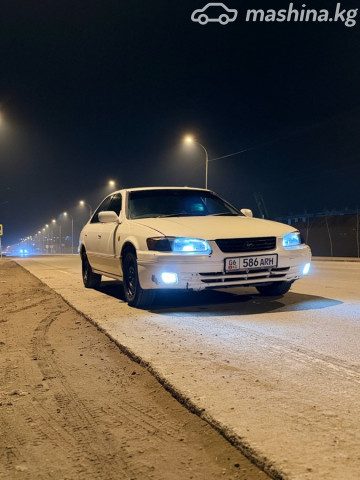 Фото 2