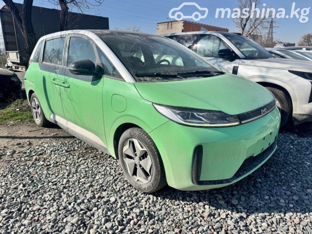 BYD D1