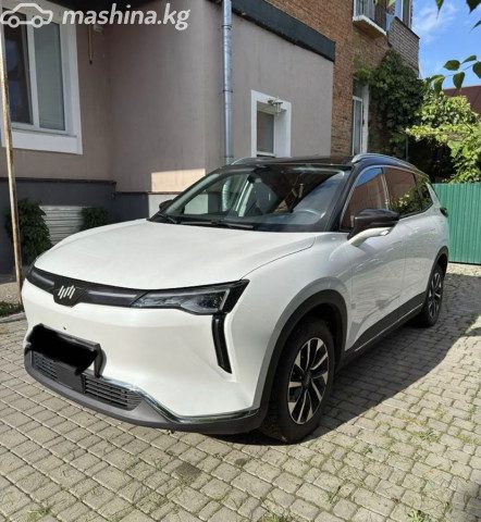 Weltmeister W6