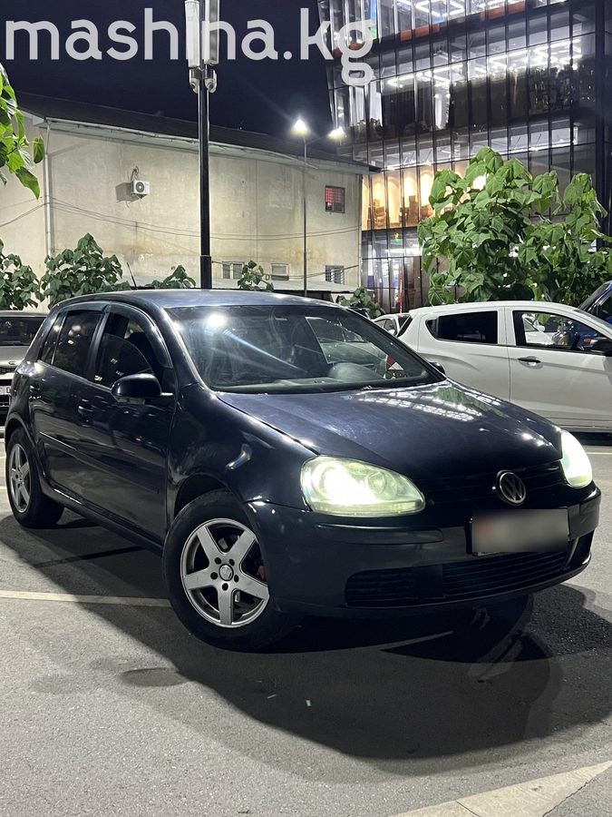 Volkswagen Golf V 2005