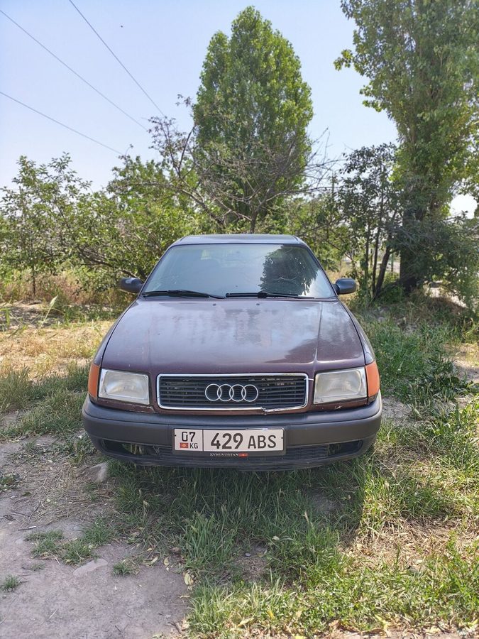 Audi 100