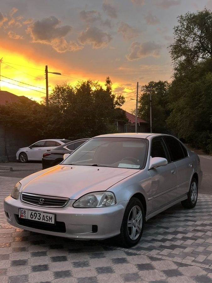 Фото 4