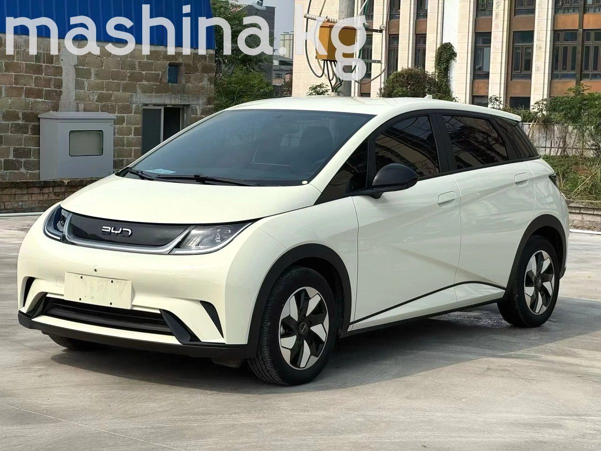 BYD Dolphin 2025