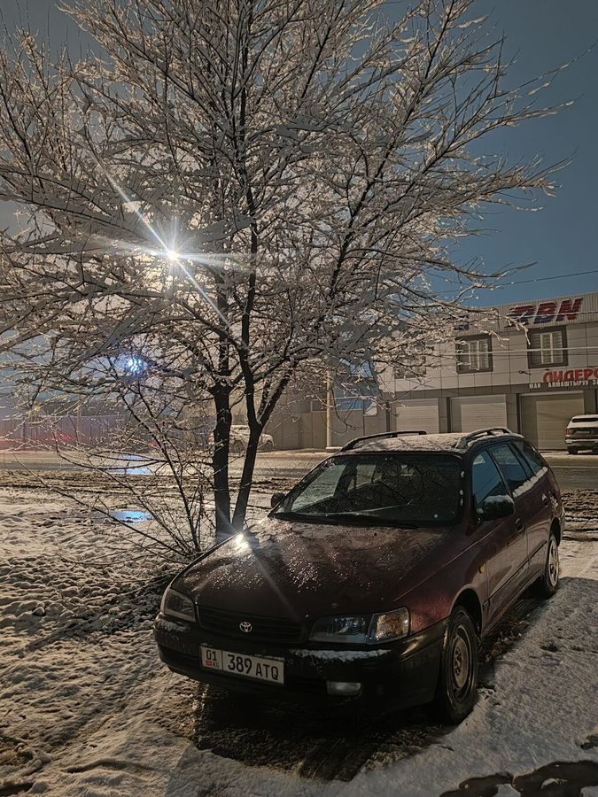 Toyota Carina E
