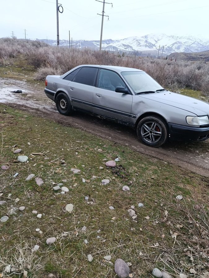 Audi 100