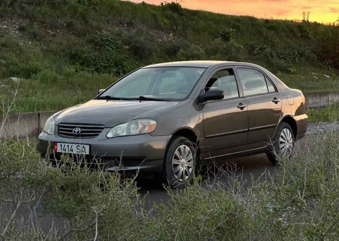 Toyota Corolla IX (E120, E130) 2003