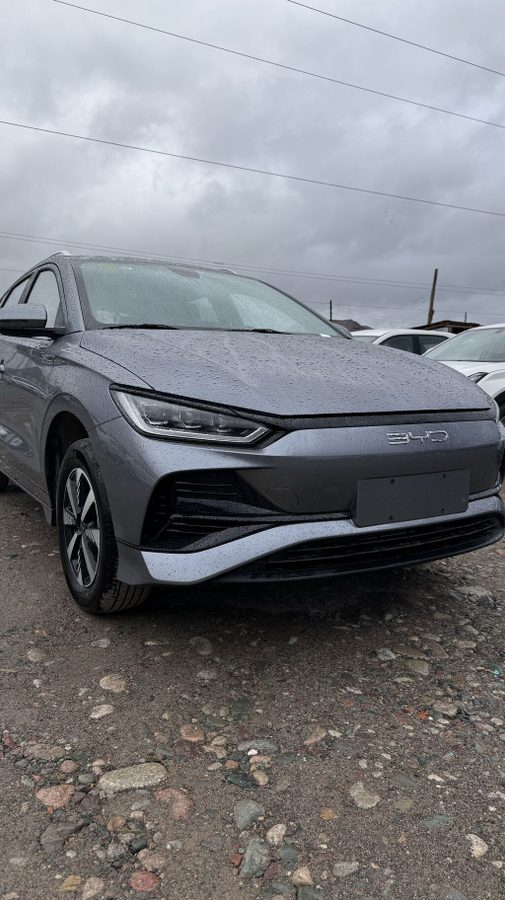 BYD E2