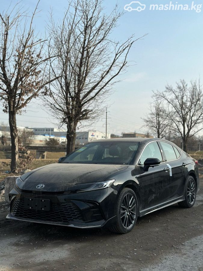 Toyota Camry IX (XV80) China Market