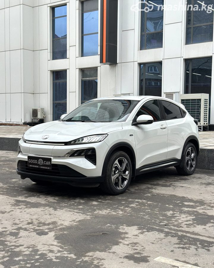 Honda M-NV I