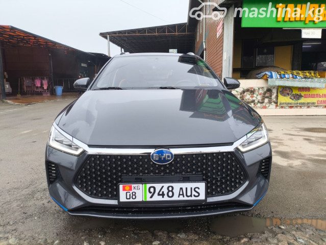 BYD E2