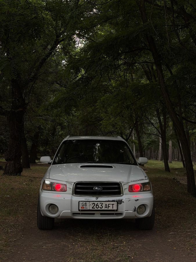 Фото 3