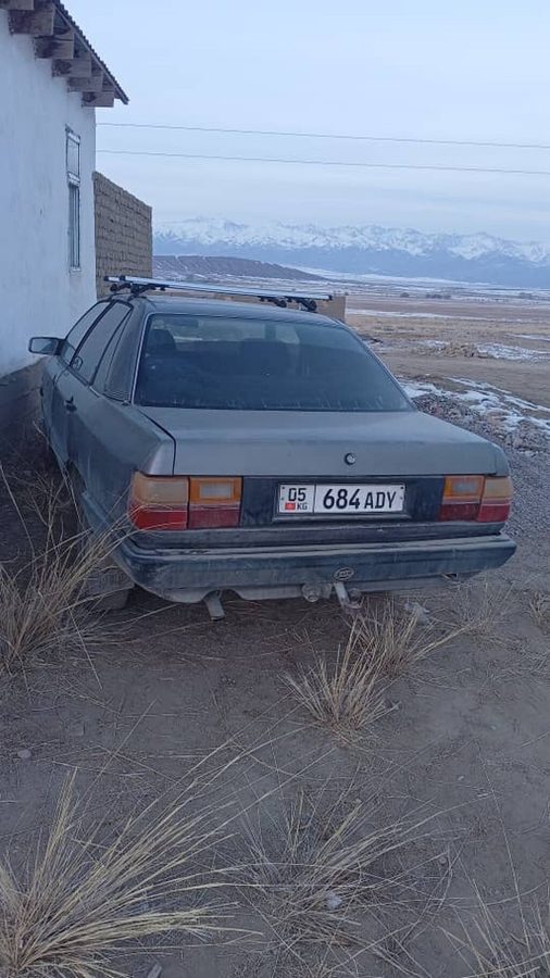 Audi 100