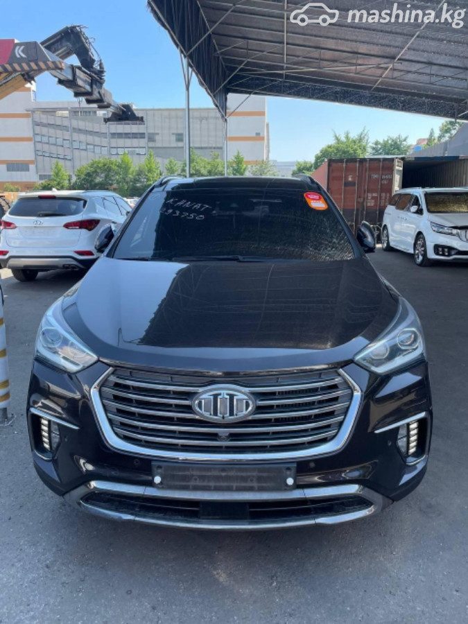 Hyundai Maxcruz