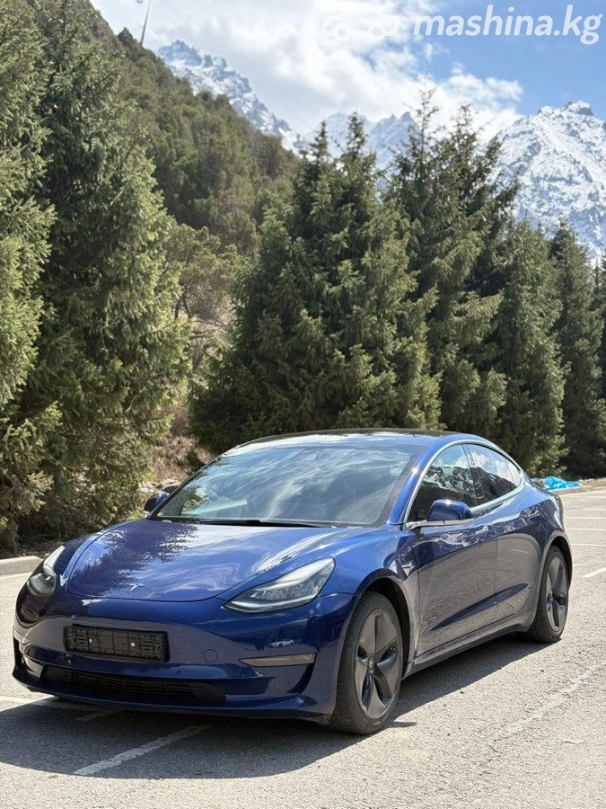 Tesla Model 3 I