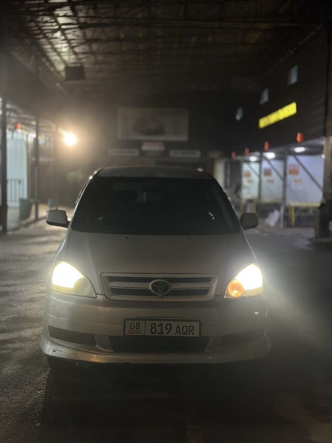 Toyota Ipsum