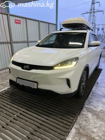 Weltmeister EX5