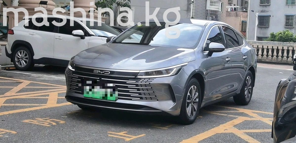 BYD Destroyer 05 2024