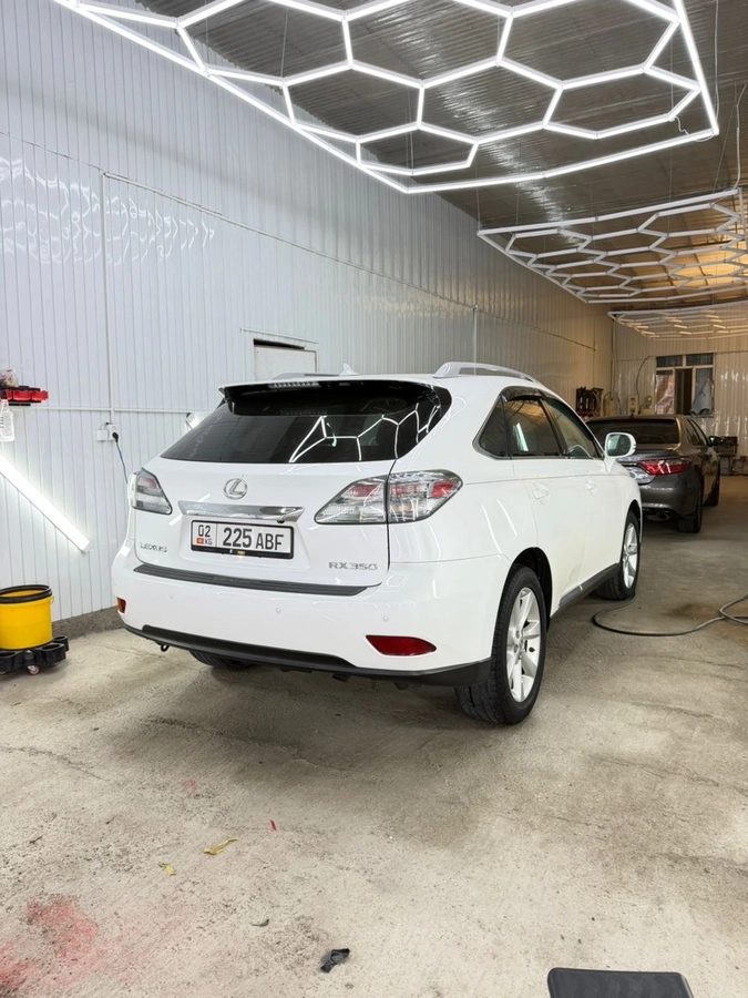 Lexus RX III 2010