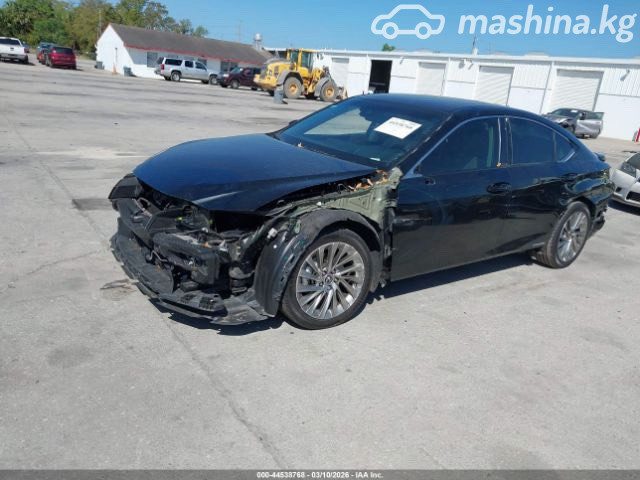 Ещё фото