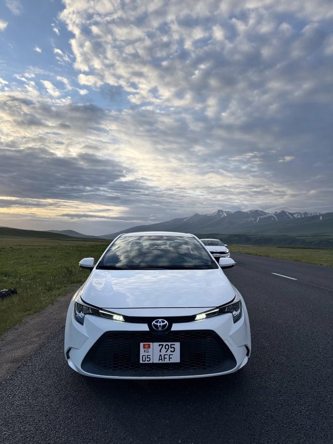 Toyota Levin XII (E210) 2021