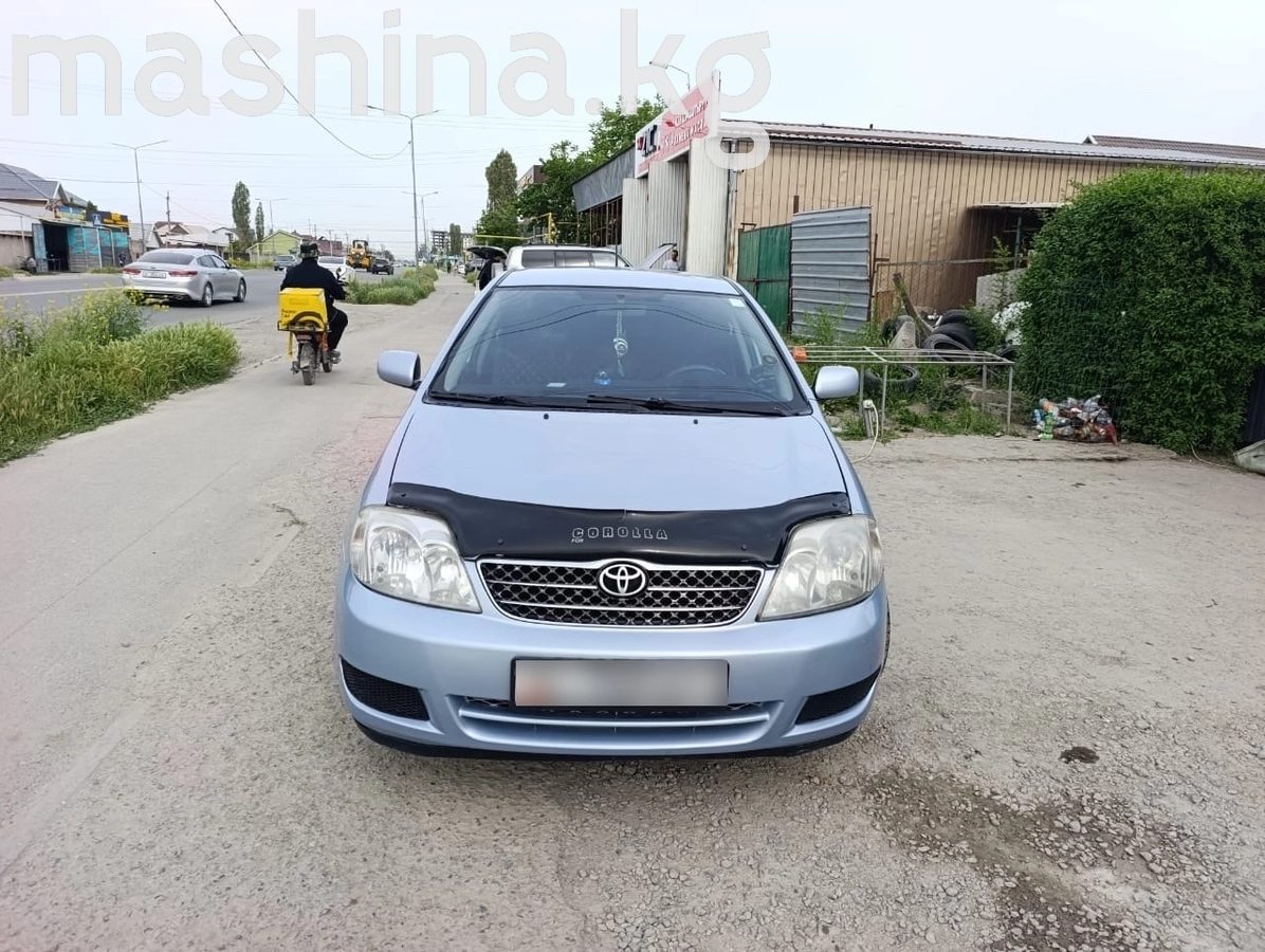 Toyota Corolla IX (E120, E130) 2004