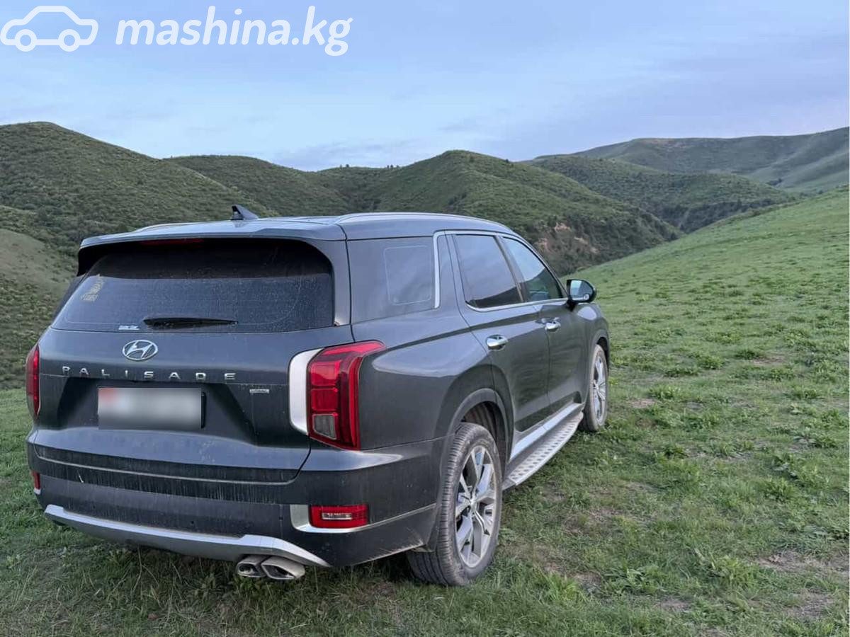 Hyundai Palisade
