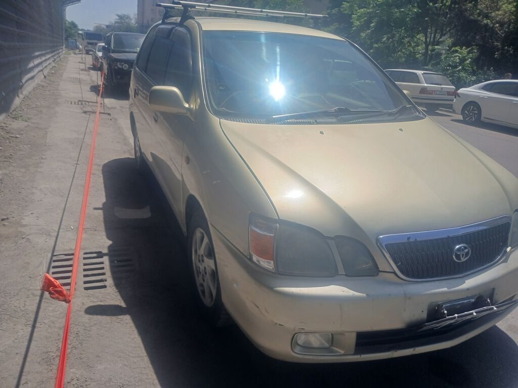 Toyota Ipsum