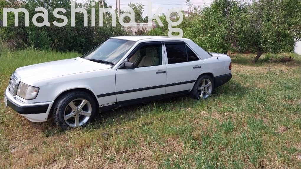 Mercedes-Benz W124 1987