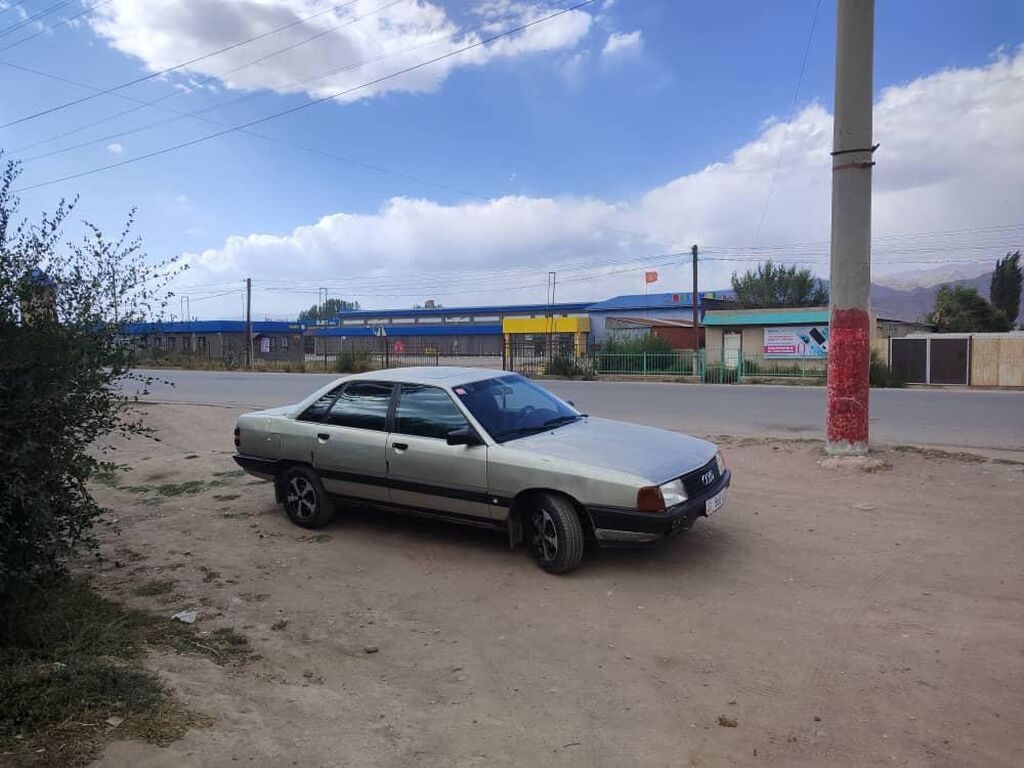 Audi 100