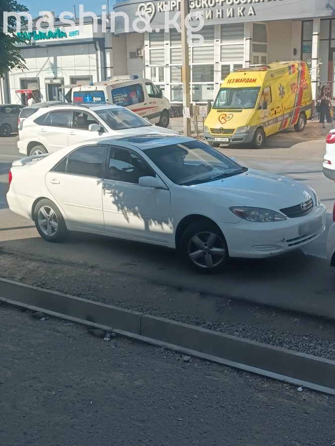 Toyota Camry V (XV30) 2004