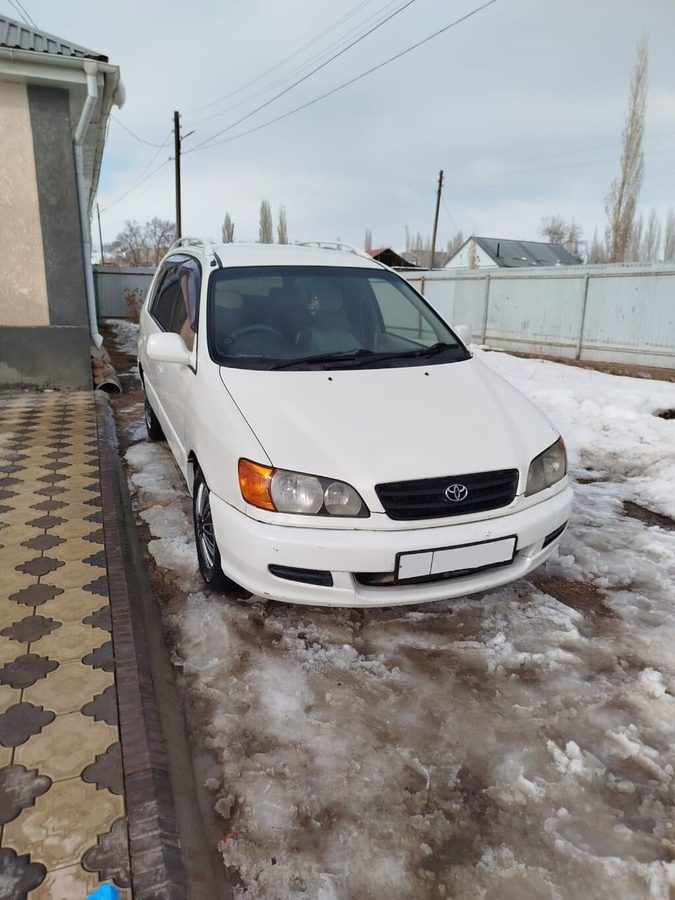 Toyota Ipsum