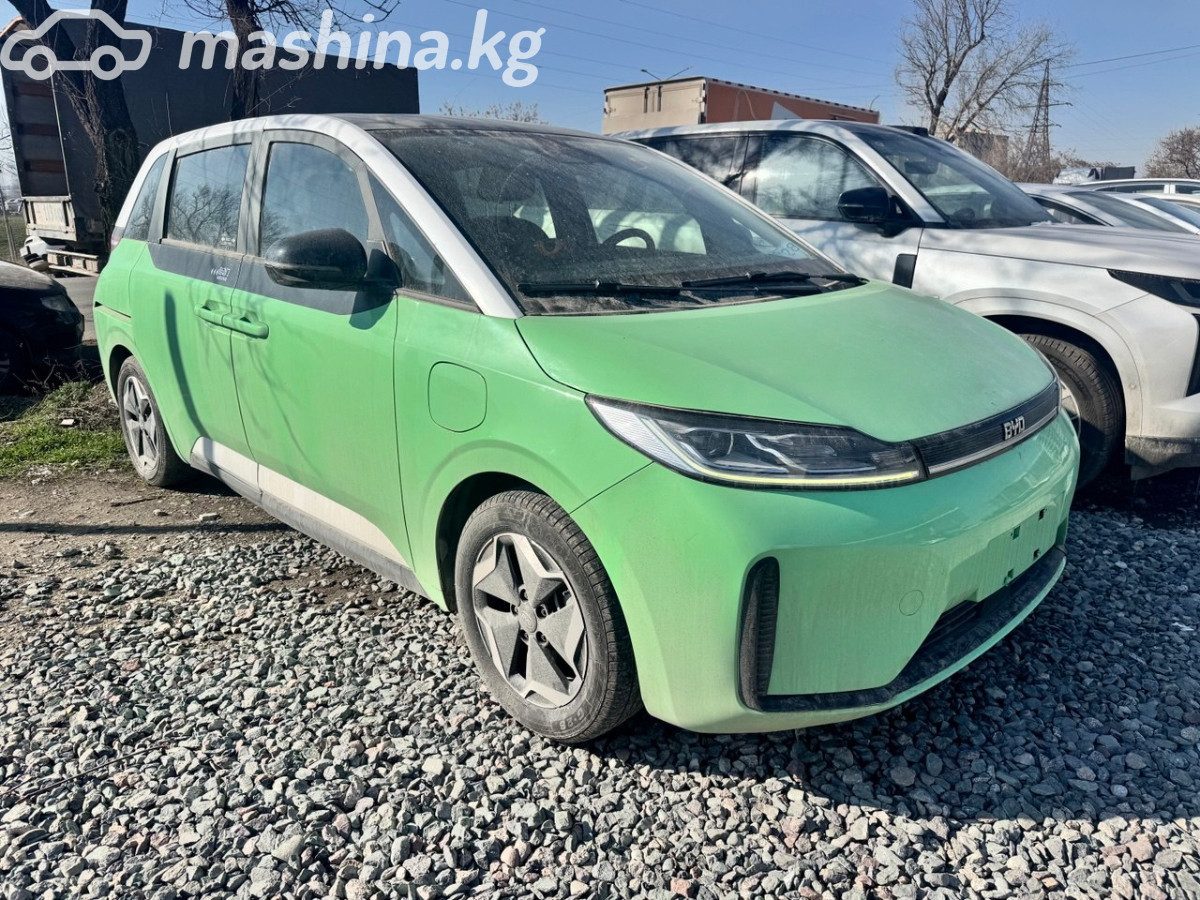 BYD D1