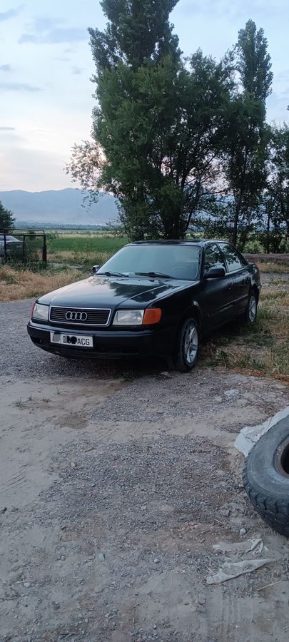 Audi 100