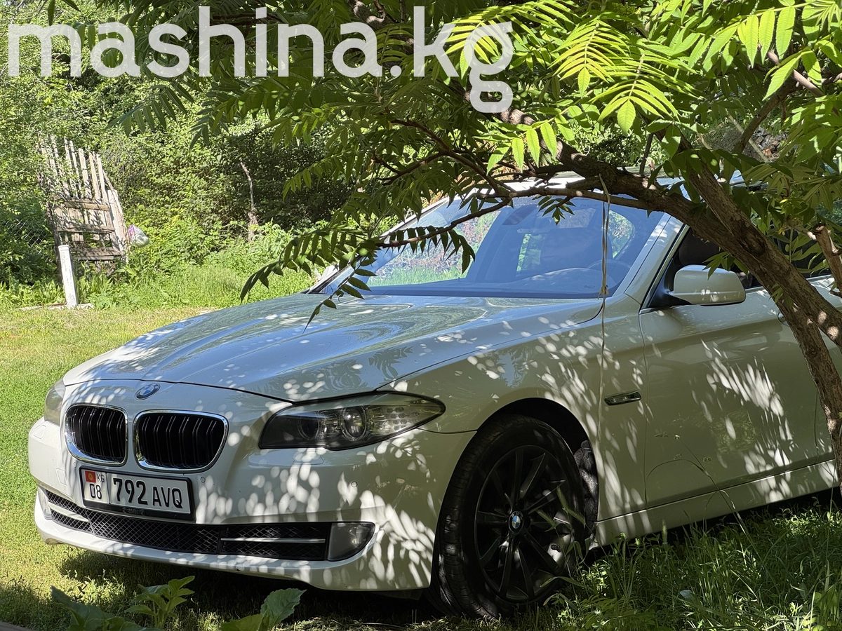 BMW 5 серии VI (F10/F11/F07) 2010