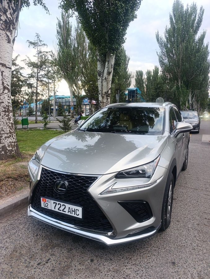 Lexus NX