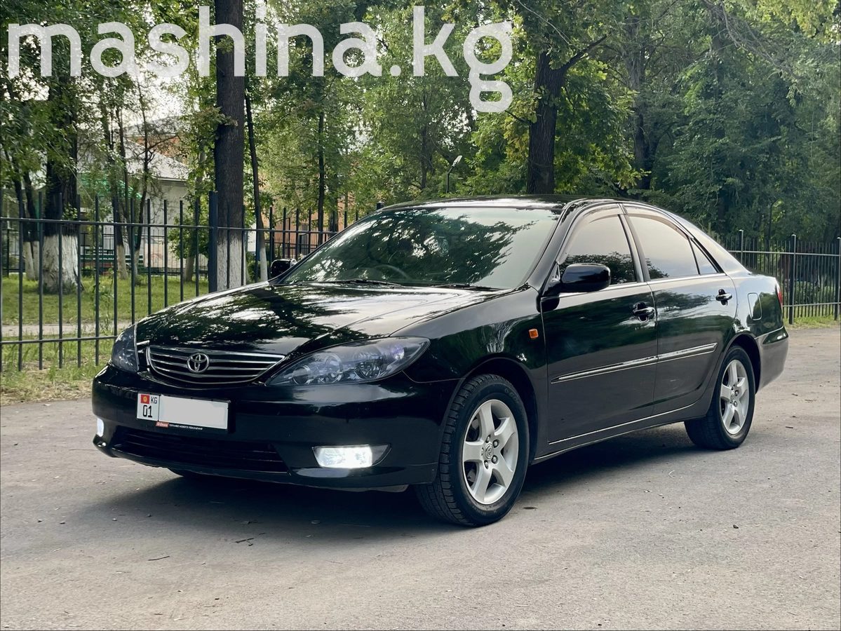 Toyota Camry V (XV30) 2005