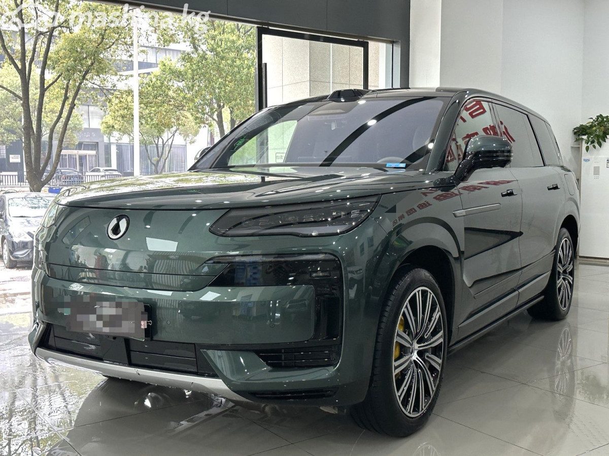 Denza N9
