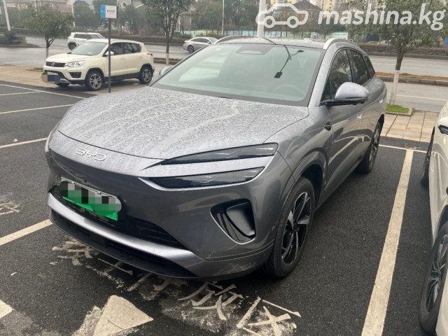 BYD Sea LIon 06