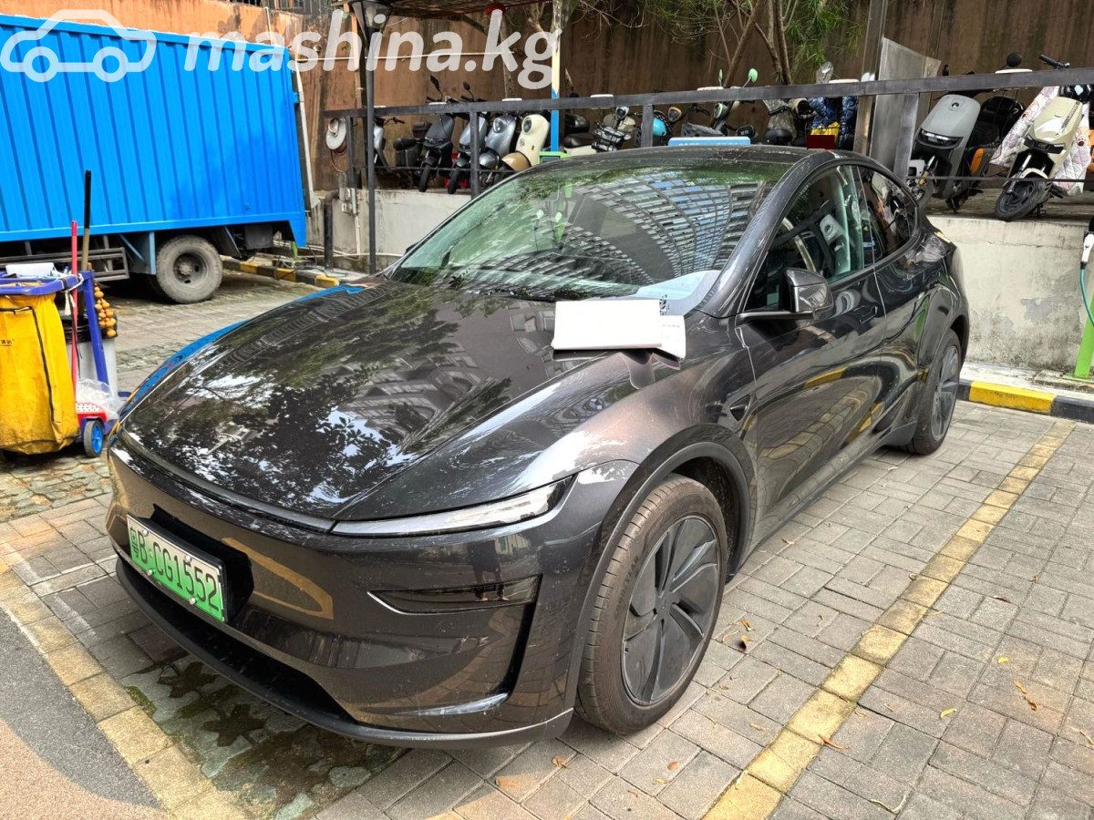 Tesla Model Y I
