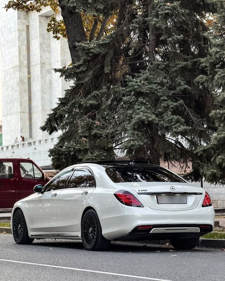 Фото 4