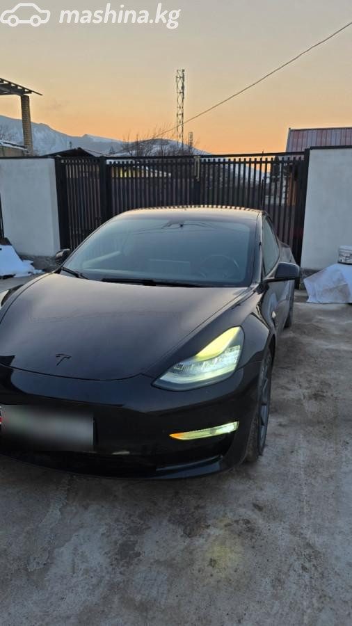 Tesla Model 3 I