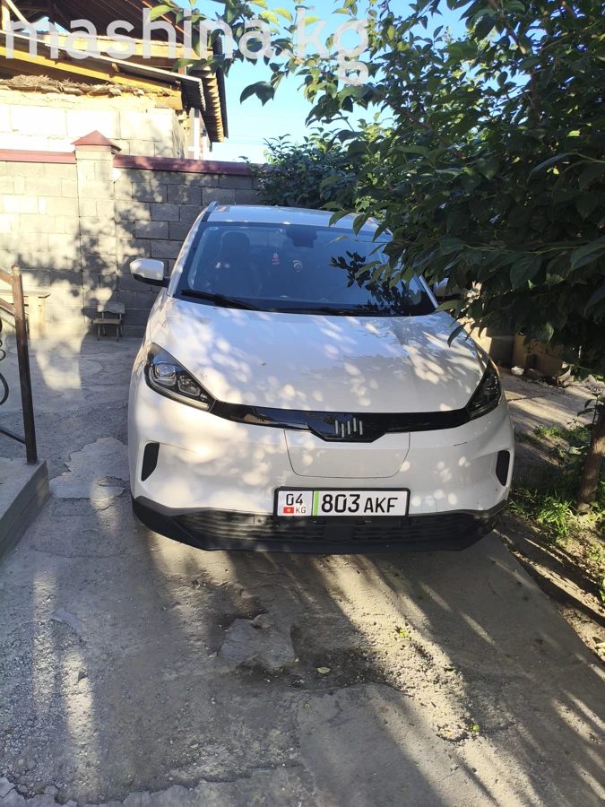 Weltmeister EX5 I 2020
