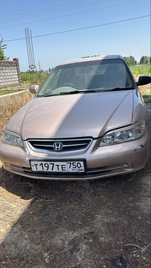 Honda Accord