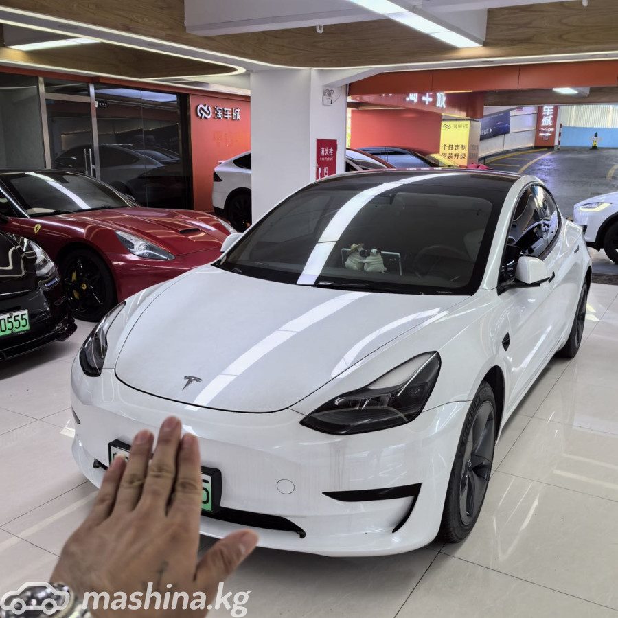 Tesla Model 3 I
