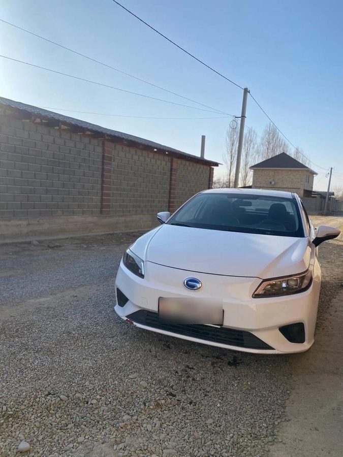 GAC Aion S 2019