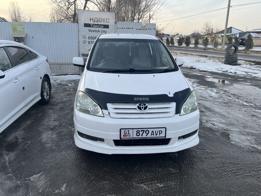 Toyota Ipsum
