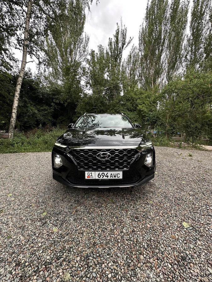 Hyundai Santa Fe IV 2019